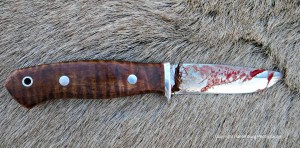 The four-inch blade on this Bark River Snowy River worked very well on this elk.