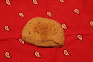 A hardtack biscuit
