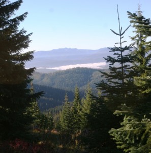 Typical IIdaho elk hunting terrain. Out here, you earn any game animal. (Pantenburg photos)