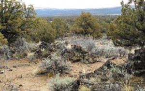 The Oregon Badlands are superb for practicing land navigation skills (Pantenburg photo)