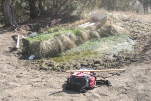 This spring in the Central Oregon high desert is the only water for miles around. The vegetation around it makes the site easy to spot. (Pantenburg photos)