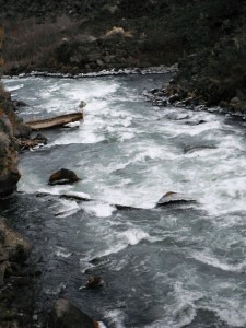 Survival in whitewater depends on proper training and good equipment. 