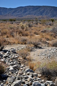 The water rolled rocks in the desert show this area has flash floods